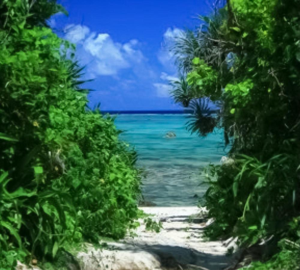 Palm Villa Ishigakijima Yugafu Ishigaki  Екстериор снимка
