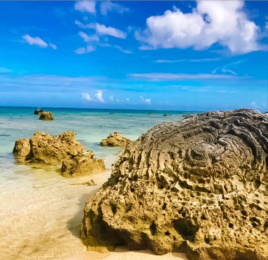 Palm Villa Ishigakijima Yugafu Ishigaki  Екстериор снимка